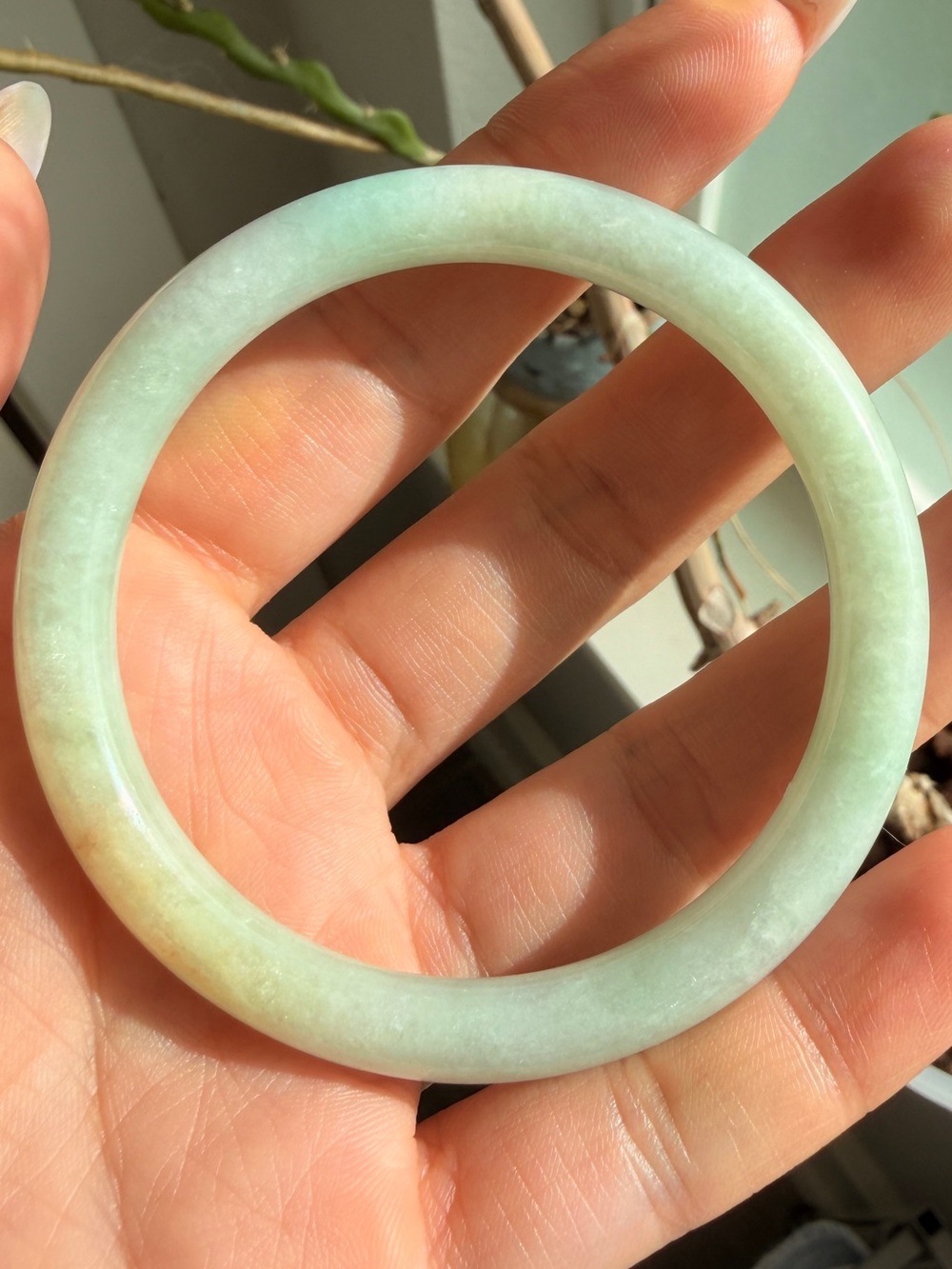 Green and Yellow Burmese Jadeite Jade Bangle Bracelet - size 55